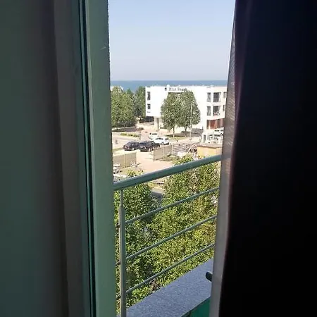 Deny Mamaia